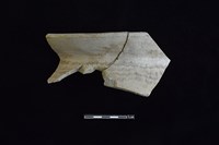 藏品(陶罐)的圖片